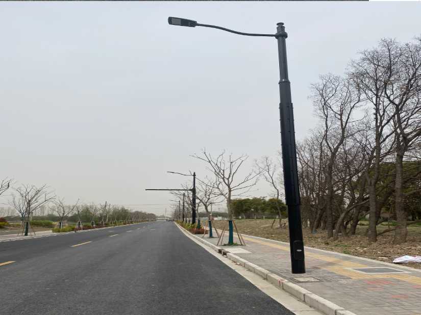 临漳县上海综合杆 太阳能路灯工程